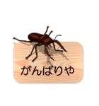 スマホの上のクワガタムシ6《関西弁》（個別スタンプ：13）