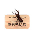 スマホの上のクワガタムシ6《関西弁》（個別スタンプ：16）