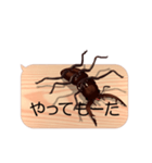 スマホの上のクワガタムシ6《関西弁》（個別スタンプ：17）