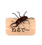 スマホの上のクワガタムシ6《関西弁》（個別スタンプ：24）