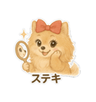 美意識が高いポメラニアン（個別スタンプ：4）