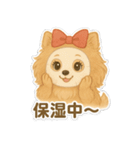美意識が高いポメラニアン（個別スタンプ：6）