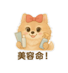 美意識が高いポメラニアン（個別スタンプ：8）