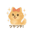 美意識が高いポメラニアン（個別スタンプ：12）