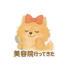 美意識が高いポメラニアン（個別スタンプ：17）