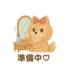 美意識が高いポメラニアン（個別スタンプ：19）