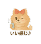 美意識が高いポメラニアン（個別スタンプ：20）