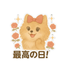 美意識が高いポメラニアン（個別スタンプ：23）