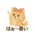 美意識が高いポメラニアン（個別スタンプ：27）