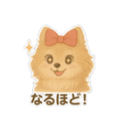 美意識が高いポメラニアン（個別スタンプ：28）