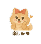 美意識が高いポメラニアン（個別スタンプ：31）