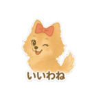 美意識が高いポメラニアン（個別スタンプ：33）