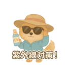 美意識が高いポメラニアン（個別スタンプ：37）
