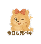美意識が高いポメラニアン（個別スタンプ：40）