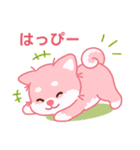 かわいいピンク柴犬「マランちゃん」（個別スタンプ：11）