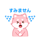 かわいいピンク柴犬「マランちゃん」（個別スタンプ：24）