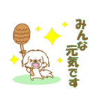 【犬屋】うちの子1番(ペキニーズ)①（個別スタンプ：10）