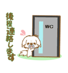 【犬屋】うちの子1番(ペキニーズ)①（個別スタンプ：19）
