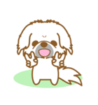【犬屋】うちの子1番(ペキニーズ)①（個別スタンプ：21）