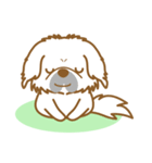 【犬屋】うちの子1番(ペキニーズ)①（個別スタンプ：23）