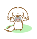 【犬屋】うちの子1番(ペキニーズ)①（個別スタンプ：25）