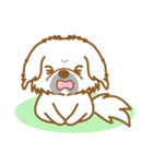 【犬屋】うちの子1番(ペキニーズ)①（個別スタンプ：31）