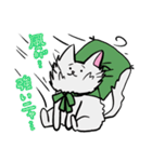 座布団を背中に担いだねこスタンプ♪（個別スタンプ：15）