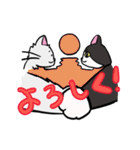 座布団を背中に担いだねこスタンプ♪（個別スタンプ：16）