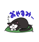 座布団を背中に担いだねこスタンプ♪（個別スタンプ：17）
