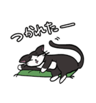 座布団を背中に担いだねこスタンプ♪（個別スタンプ：24）
