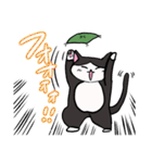 座布団を背中に担いだねこスタンプ♪（個別スタンプ：31）