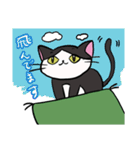 座布団を背中に担いだねこスタンプ♪（個別スタンプ：32）