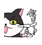 座布団を背中に担いだねこスタンプ♪（個別スタンプ：35）