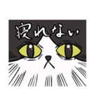 座布団を背中に担いだねこスタンプ♪（個別スタンプ：40）
