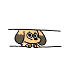 実家のあしのみじかいいぬ（個別スタンプ：13）