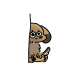 実家のあしのみじかいいぬ（個別スタンプ：14）
