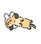 実家のあしのみじかいいぬ（個別スタンプ：16）