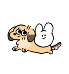 実家のあしのみじかいいぬ（個別スタンプ：17）