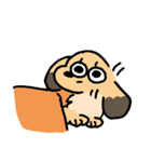 実家のあしのみじかいいぬ（個別スタンプ：20）