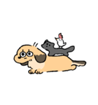 実家のあしのみじかいいぬ（個別スタンプ：25）