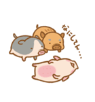 のびのびぶたさん（個別スタンプ：30）