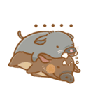 のびのびぶたさん（個別スタンプ：36）