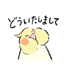オカメちゃんの敬語トーク（個別スタンプ：3）