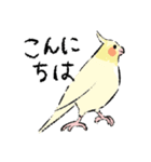 オカメちゃんの敬語トーク（個別スタンプ：6）