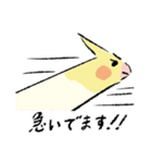 オカメちゃんの敬語トーク（個別スタンプ：15）