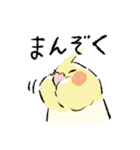 オカメちゃんの敬語トーク（個別スタンプ：24）