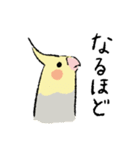 オカメちゃんの敬語トーク（個別スタンプ：28）