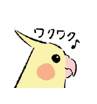 オカメちゃんの敬語トーク（個別スタンプ：30）