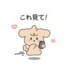 もふもふ わんちゃん, ラプー 2 (JPN)（個別スタンプ：2）