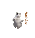 動く！踊る猫ミーム(パート25)（個別スタンプ：1）